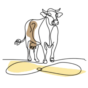   Provision of diary in school feeding program (Nutrition sensitive social protection using HCD) 